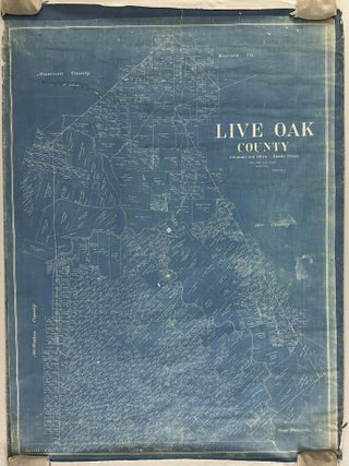 Item #2311 Live Oak County. Texas
